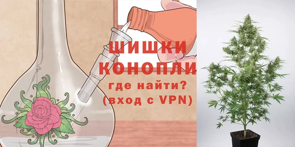 мяу мяу мука Надым